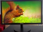 24" Wide LED Monitor