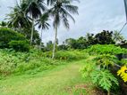 240 Perches Land for Sale at Madulawa Road, Watareka