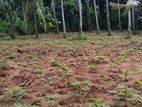 244perch land for sale in gampaha