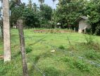 24.9perch Land for sale demanhandiya