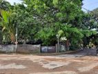 24P Land facing Andarewatta Road Colombo 5 For Sale