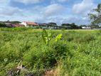 24P Land facing Robert Road Dehiwala For Sale