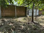 24P Prime Land for Sale - Moses Avenue, Kalagedihena | SL14684