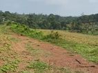 2.5 Acers Bare Land for Sale in Kalapugamwatta, Morontuduwa (SL 14070)