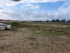 2.5 Acre Land for sale Pottuvil Near Arugam Bay