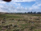 2.5 Acre Land for sale Pottuvil Near Arugam Bay