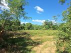 2.5 acre land is for sale in plots Colombo – Kataragama main road.