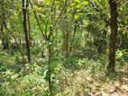 2.5-Acre Scenic Land for Sale – Belihuloya, Balangoda
