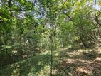 2.5-Acre Scenic Land for Sale – Belihuloya, Balangoda