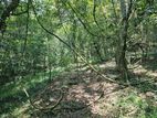 2.5-Acre Scenic Land for Sale – Belihuloya, Balangoda