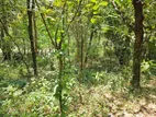 2.5-Acre Scenic Land for Sale – Belihuloya, Balangoda.