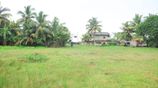 2.5 Acre Sea View Land for Sale in Mirissa, Matara