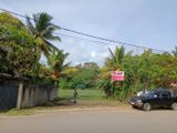 2.5 Acre Sea View Land for Sale in Mirissa, Matara