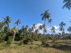 2.5 Acres Agricultural Land – Gonagama, Rekawa