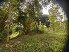 25 Acres Coconut Land Facing River in Gampaha Diulapitiya