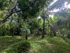 2.5 Acres Cultivated Land with House – Pallepola (Galewela–Matale Road)