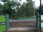 25 Acres Land Area for Sale Puttalama