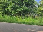 2.5 Acres Land for Sale in Dambulla