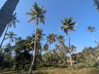 2.5 Acres Land for Sale - Wariyapola, Gonagama, Rekawa