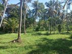 2.5 Acres of Valuable Land for Sale in Medagampitiya, Divulapitiya.