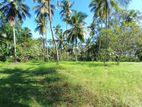 2.5 acres of valuable land for sale in Medagampitiya, Divulapitiya