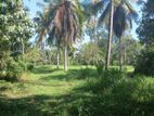 2.5 acres of valuable land for sale in Medagampitiya, Divulapitiya.
