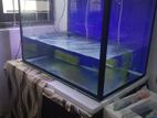 2.5 Ft Fish Tank