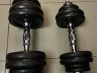 25 KG Dumbells