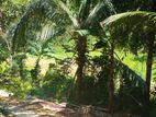 25 per h land for sale in hakmana