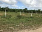 25 Perch Land for Sale in Piliyandala