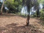 25 Perch Land for Sale Near Avissawella