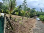 25 Perches 2 Lots or 50P Entire Land for Sale - Close to Elpitiya Town
