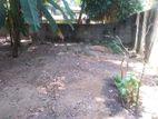 25 Perches Land for Sale at Bollatha, Ganemulla