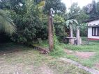 25 Perches Land for Sale in Piliyandala