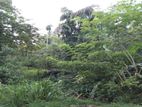 25 Perches of Land for Sale at Thunadahena, Kaduwela