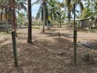 25 perches square land sale in Negombo