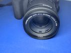 250 d
