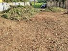 Land for Sale 250 M Near by National Hospital Galle