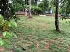 Land for Sale in Kosgoda