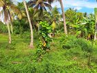 250 Perches land for sale at Ganemulla