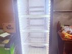 250L Bottle Cooler
