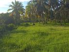 252 Perches Commercial land for sale in Kotugoda (C7-10010)