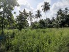 252 Perches Land for Sale Dummalasooriya