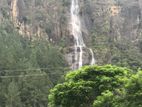 253 PERCH LAND for SALE in BADULLA DULTOTA