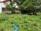 25.5 P Residential Bare Land for Sale Rajagiriya