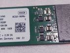 256GB nvme SSD