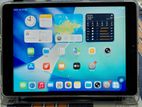 Apple iPad 9th Gen 256GB Wifi