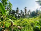257P Coconut Land for Sale at Embaraluwa