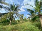 259 Perch Coconut Land for Sale in Ja Ela - Cl468