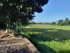 25.9p Paddy Field Facing Land in Halbarawa, Thalahena